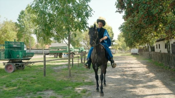 Filmsman Event videos